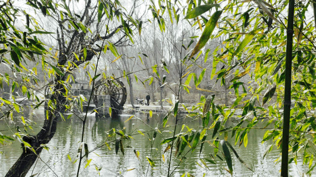 潍坊一4A级景区官宣！永久免门票啦！