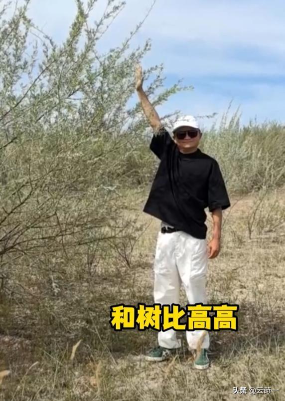 马云现身蚂蚁森林，大口吃西瓜，现场杂草丛生，跟2016年对比明显