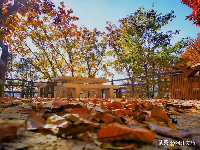 远山如黛，风景如画！来兴隆山，与红叶和云海撞个满怀