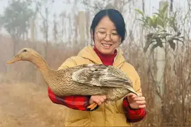 4年时间我卖了7000只鸡2000只鸭鹅。原来做农业坚持本心才是正道图片