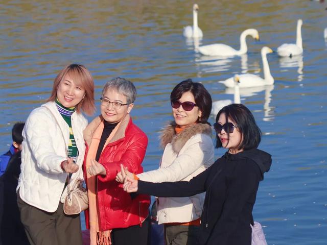 冬日周六晴好，邂逅热闹苍龙湖