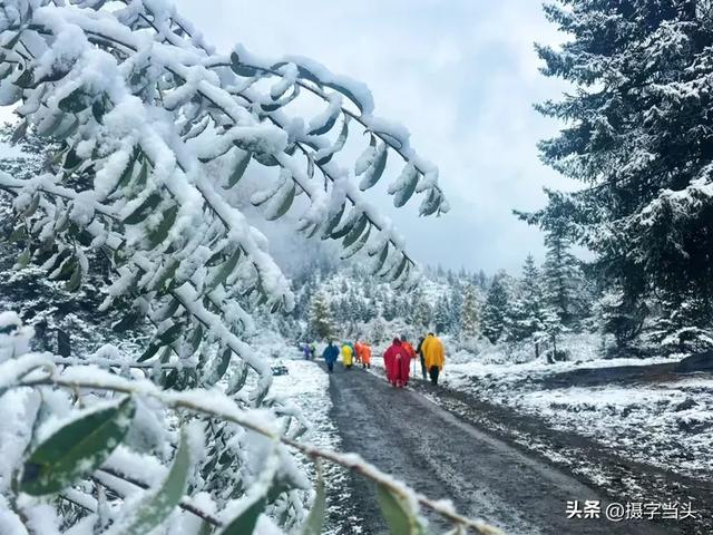 甲依拉措 :一场白雪与彩林的盛宴