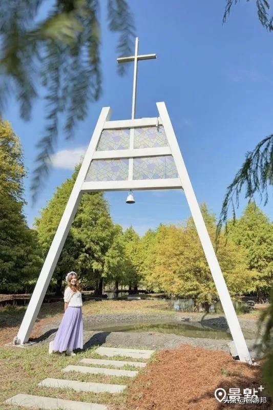 800棵落羽松树海开园了！5大美拍亮点秋冬必打卡