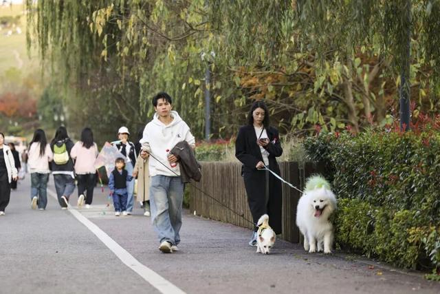 玩转贵安丨贵安初冬限定美景，给你“好看”！