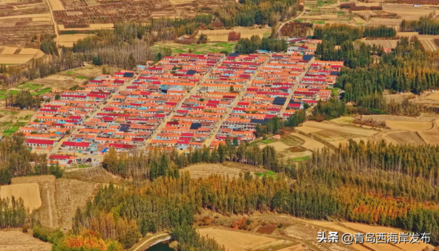 走不出这画了，我已被西海岸的秋景迷倒 🥹