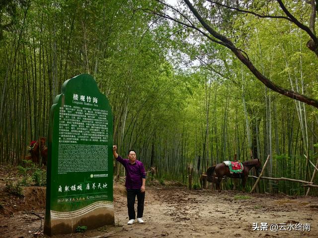 “天下第一福地”、西安这么有名气的地方免费开放，竟然还不知道