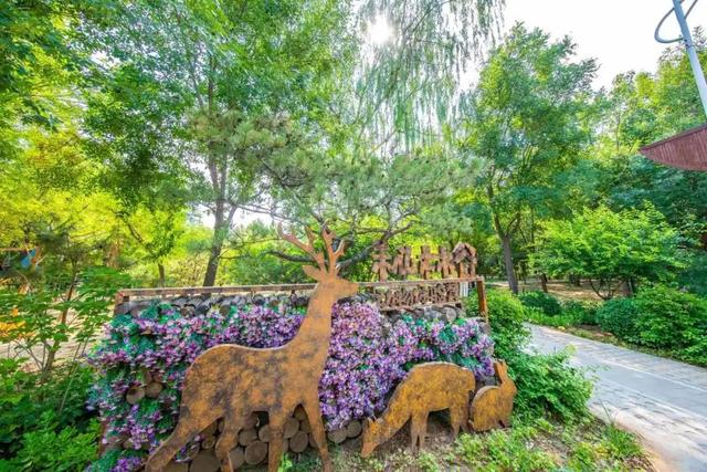 京西南藏着个“小桃源”！丰台王佐全域旅游小镇夏日玩法攻略来啦——