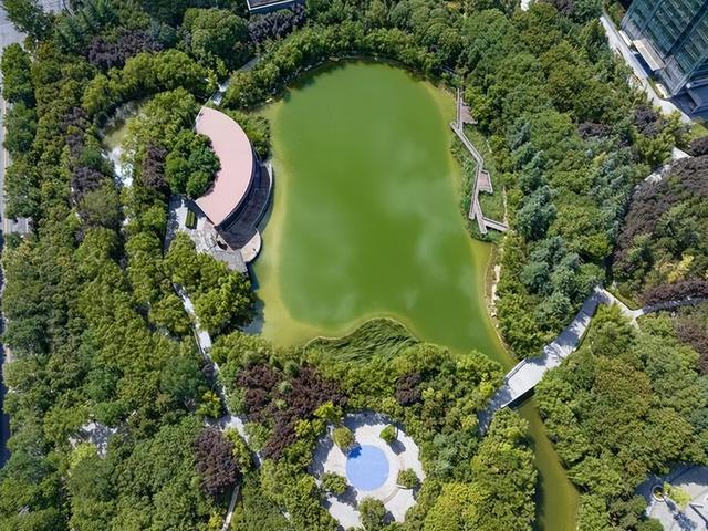 西安中湖公园 绿意盎然 园景如画
