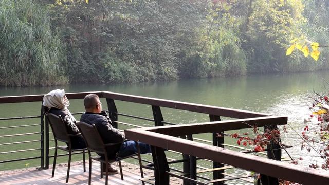 最高气温20℃!重庆人快来这些公园晒太阳