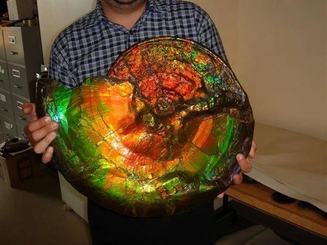 惊呆了！这50张照片让你看到另一面