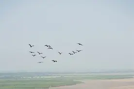 五一不出省！西安自驾2H，这个三省交界的小城，很美很霸气！图片