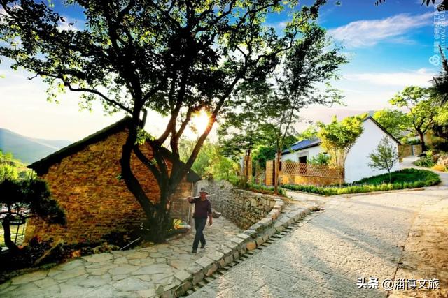 两日超全游玩攻略!秋日沿河而行,淄博这条线路藏着太多宝藏打卡点~