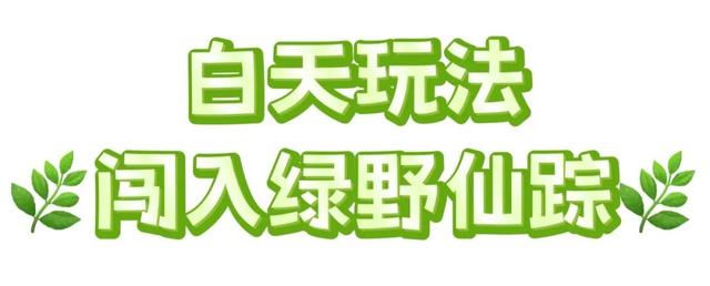 三明夏季避暑宝藏地，永安天斗山居开启清凉暑假！