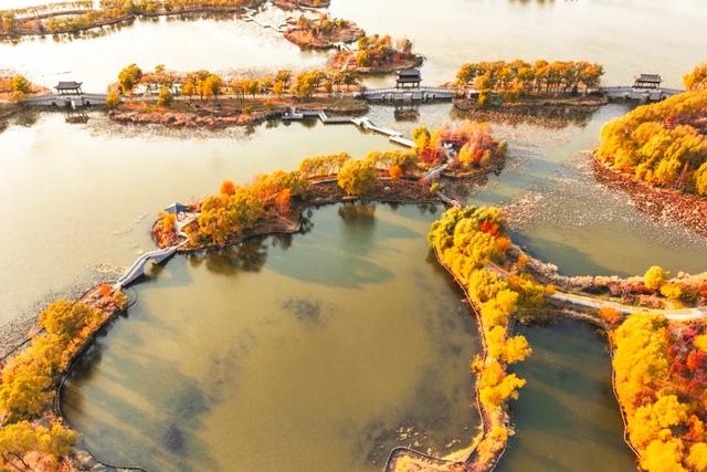 吉视界 | 北湖秋日限定 “颜值” 上线