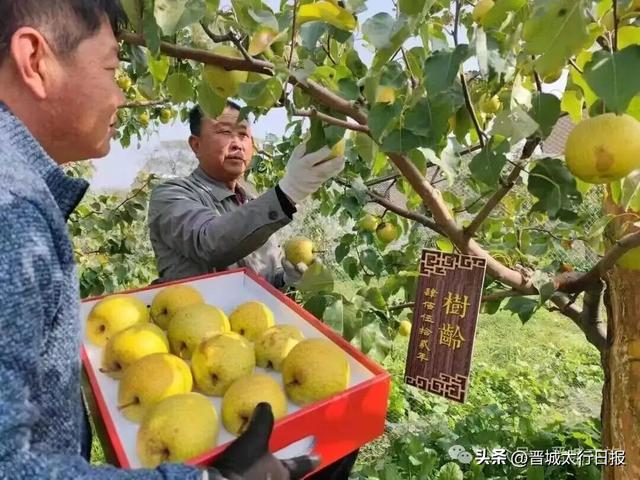 【晋城】天晴了，去哪游？看这里→