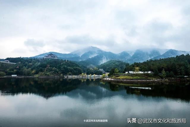 暴雨天，武汉这里排长队！