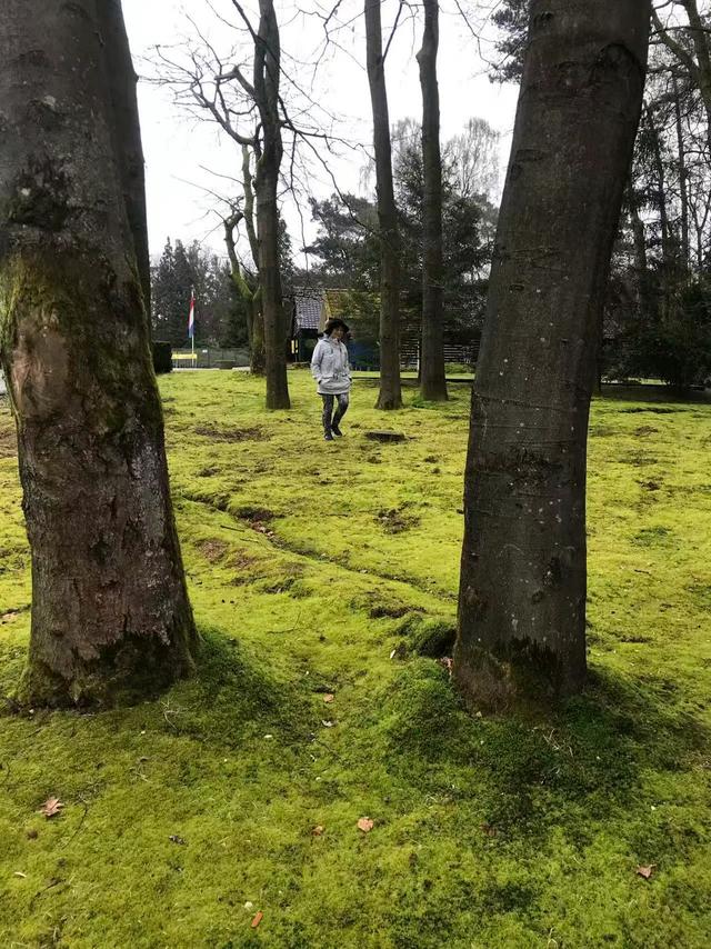 《再见，荷兰》