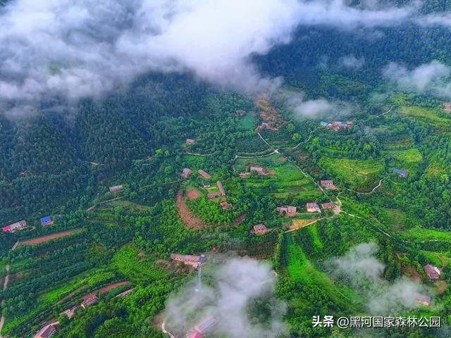 云海翻涌,薄雾缭绕,在黑河山间邂逅“山林仙境”