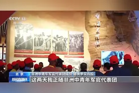 埃及、莫桑比克等非洲40多国中青年军官代表访华图片