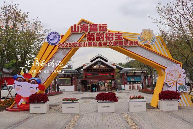 宁波镇海推出新的菊花展，5个赏菊地连成一条线，堪称史上最美