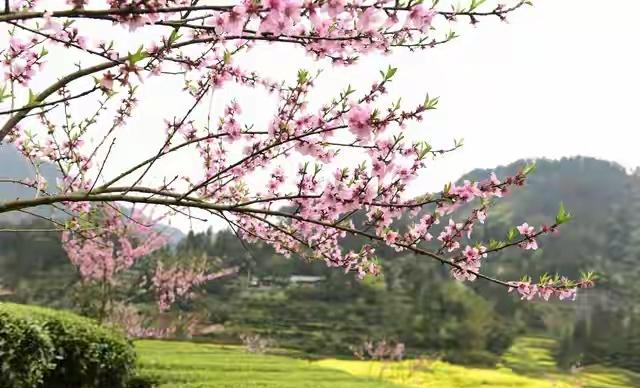 过来人忠告：人到晚年与子女相处，记这6条规矩，不吃亏还受尊重