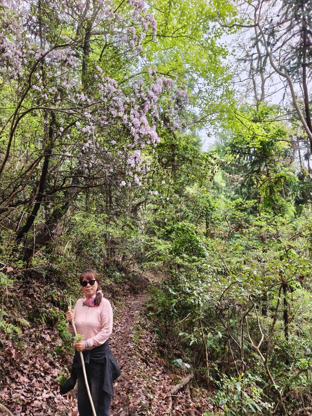 仙居县大木辽村，寻寻觅觅落脚地，起起落落下山走