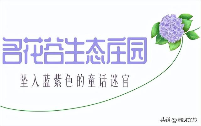 跟着赛事游昆明｜夏日“多巴胺”藏在每一朵绣球花里，收好这份打卡攻略，看完滇超就出发→