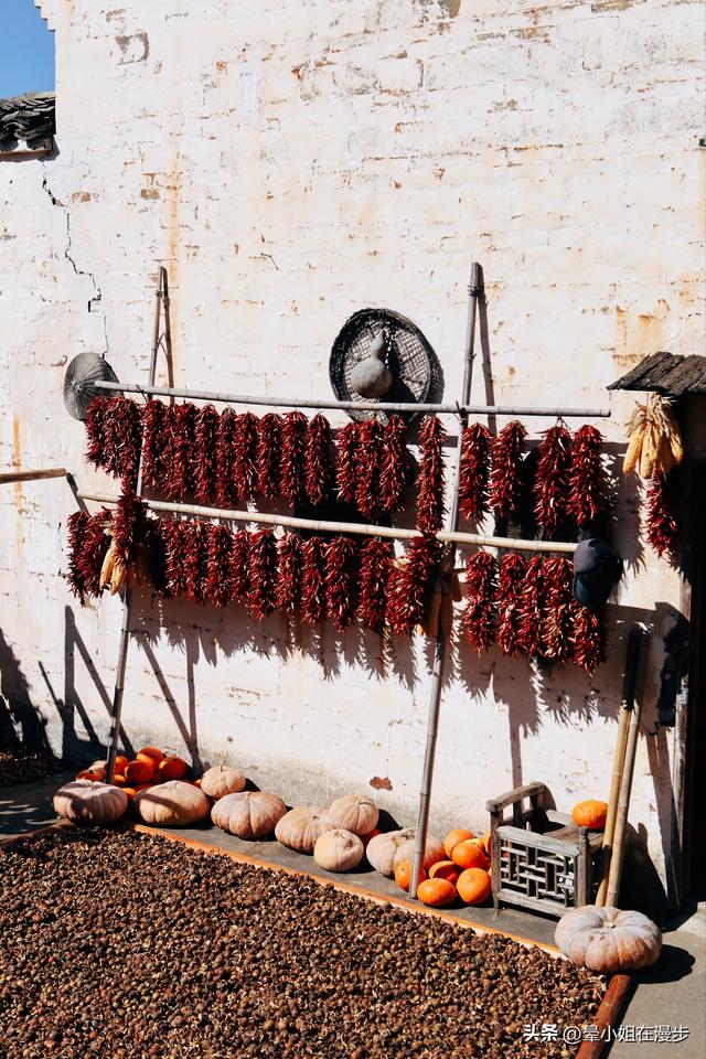 秋色浓、叠彩韵、檐下晒秋图，这可能是国内最美的秋天