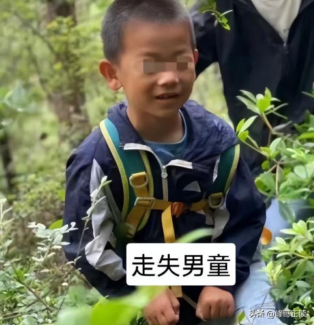 苍山自闭症男孩失联已3天：恶心一幕出现，更多人被无端质疑！
