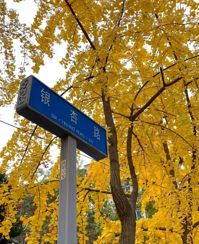 藏不住啦！金牛这些地方必须给你点“颜色”看看→