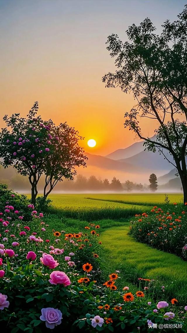 早上晚上最美的风景