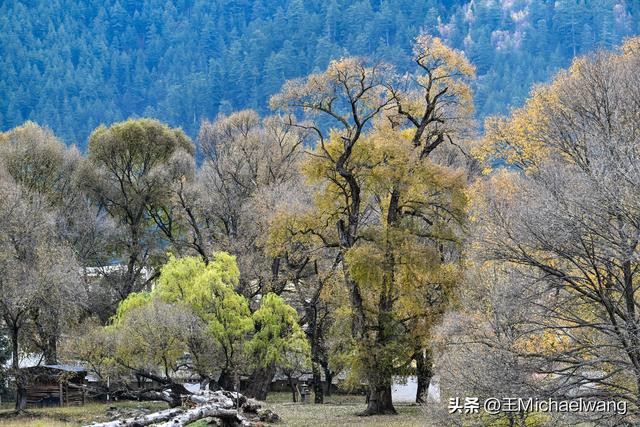 古意秋风三万里（D30）-从迭部到松潘