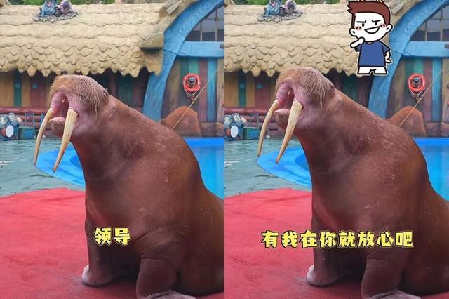 流量变留量，抖音上文旅消费新增量