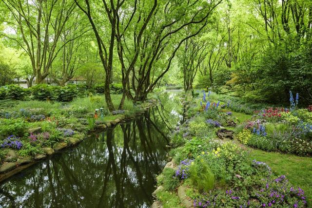 上海值得去的6个公园推荐！全部免费，好看又好玩！你都去过几个