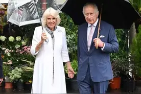 卡米拉法国拉稀太搞笑，一众瓜炸了锅，查尔斯不怒让你们尽管笑图片