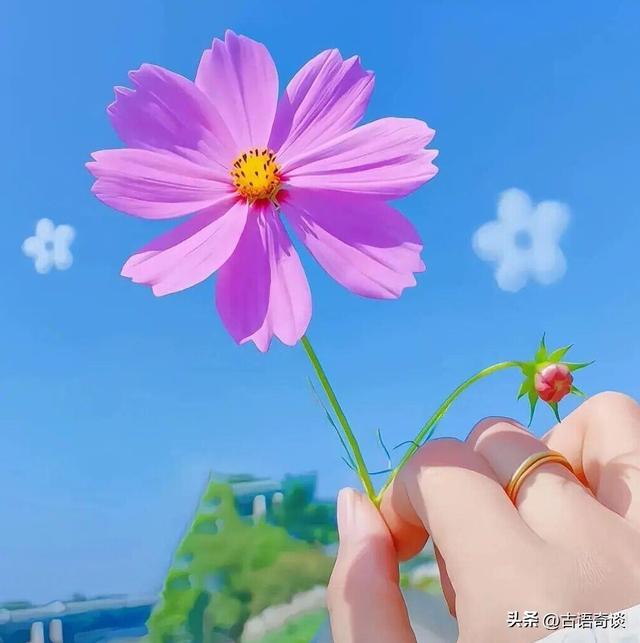 【今日爆文】你知道吗？你比你所知道的自己还要厉害