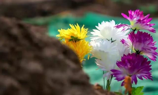 “寒衣不上坟，上坟辱先人”，寒衣节需要上坟吗？哪些人不要去？