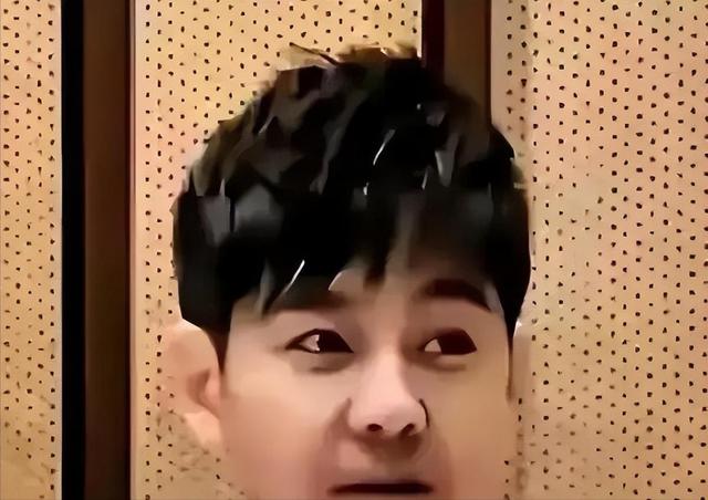 林志颖变老我能接受，变年轻也不意外 现在居然和以前完全不一样了