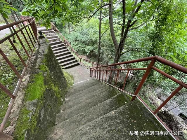 夏末初秋,出游正当时,在黑河邂逅夏秋两季交替之美