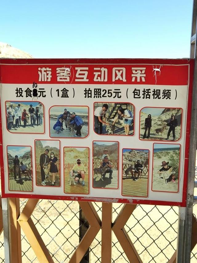 游新疆乌伦古湖海上魔鬼城