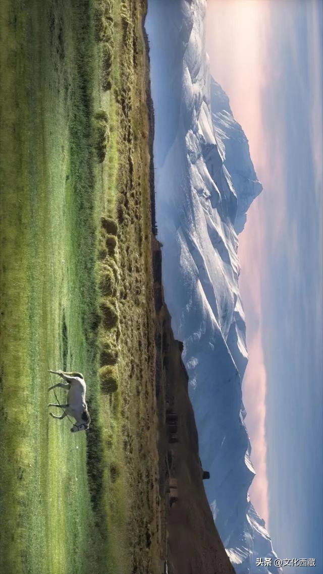 太绝了！西藏那些一眼难忘的山形！你认识几座？