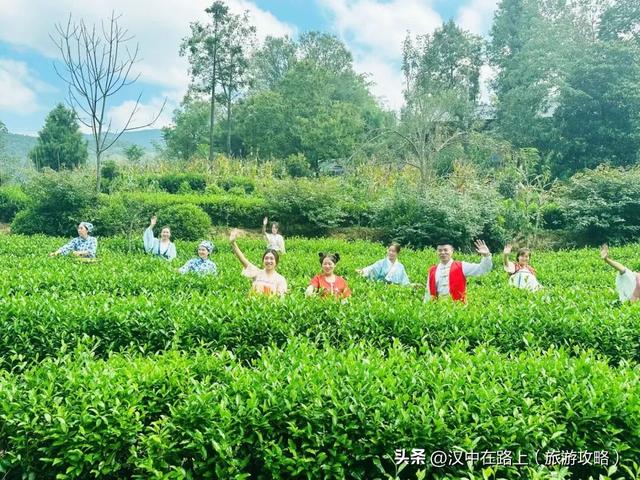 楮溪源景区：非遗茶歌、露营烧烤等你来！