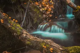 为什么单身的老头不再急着找老伴？看完你就明白了图片