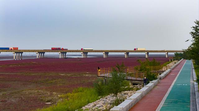 在红石崖街道，胶州湾畔一次难忘的的蓝湾慢道行