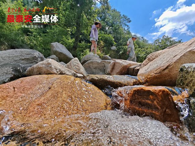 青绿泰山 清凉一夏丨夏日寻幽泰山玉泉寺，山水林间觅清凉