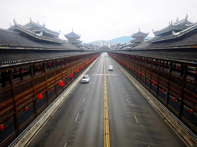 桂北秋色行之柿红