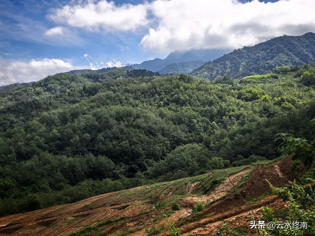蓝田的美，美在隐秘：这是山边一条少有人走的路，我却走过很多次