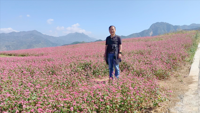 渭南文坛 | 王纪民：胡杨林之旅杂记