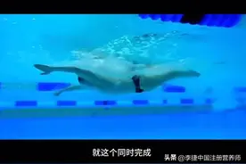 正确的蝶泳技术要点和细节图片