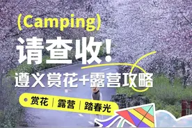 清明出游！约个露营局，赴一场春日浪漫约会图片